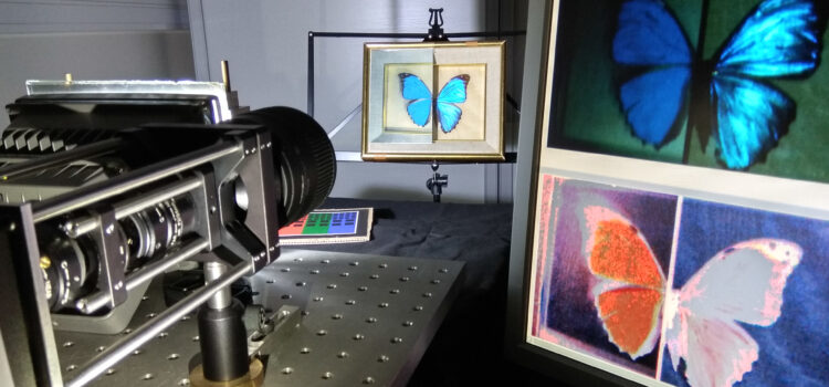 Polarimetry, sensors and imaging