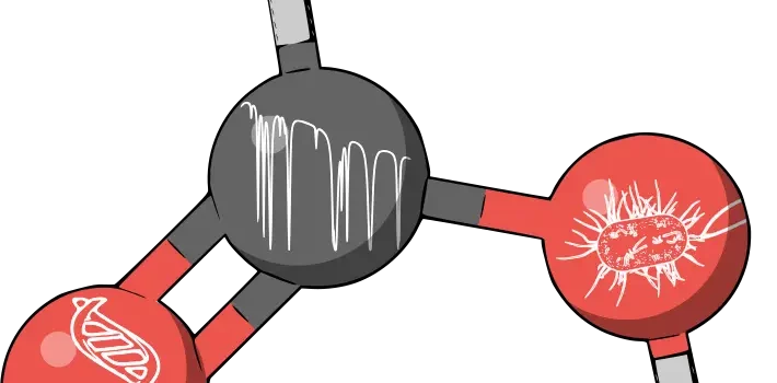 Submillimeter spectroscopy of microbial volatile compounds